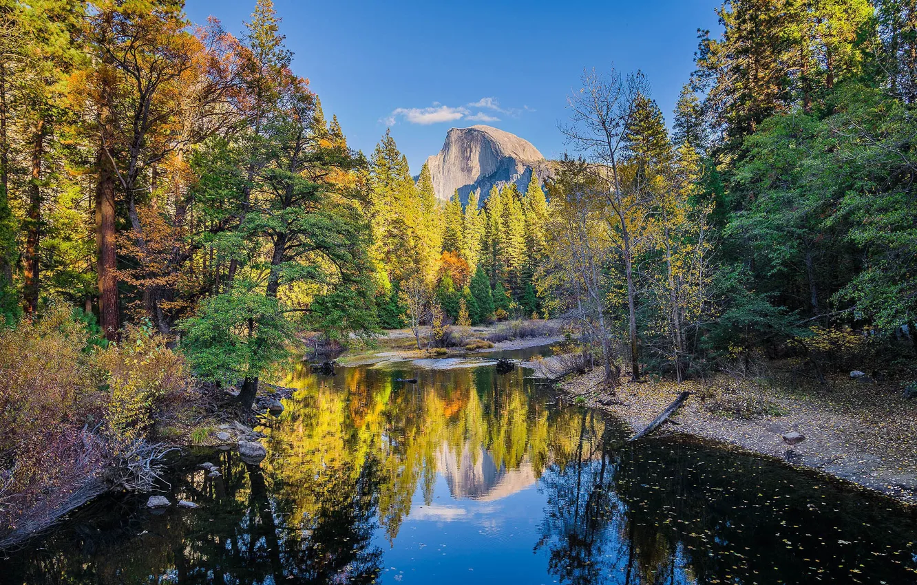 Фото обои осень, лес, вода, пейзаж, природа, река, гора, красота