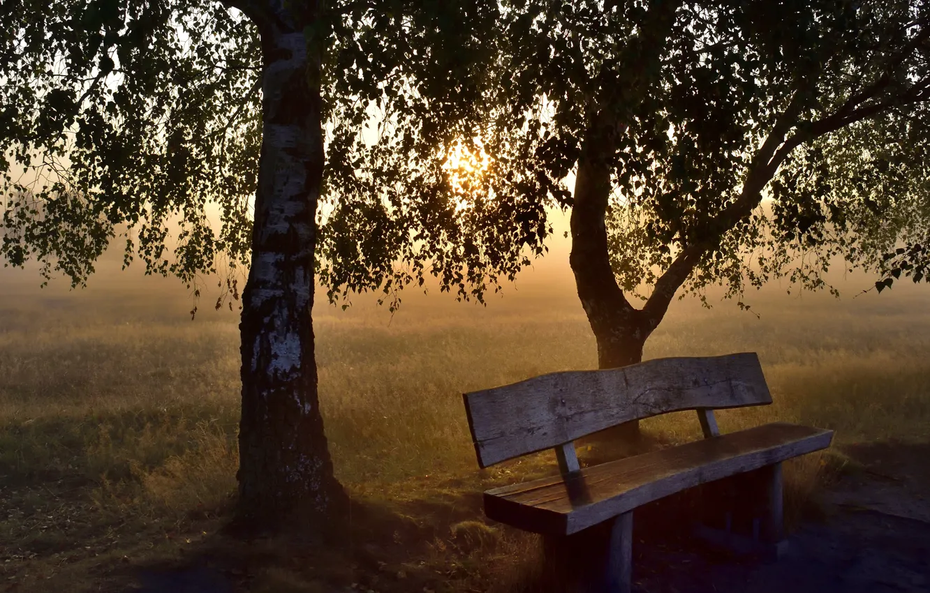 Скамейка в парке в тумане