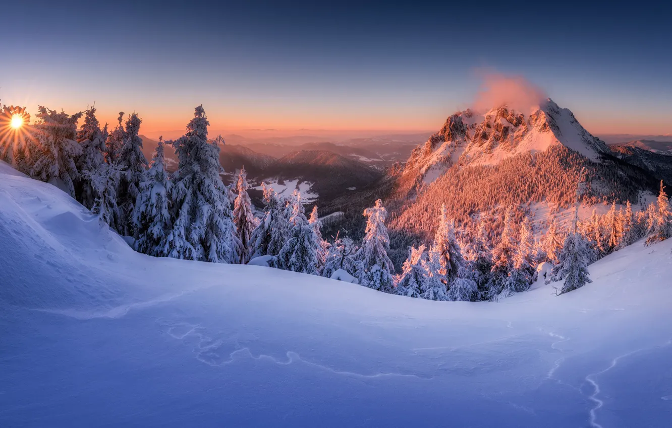 Фото обои зима, снег, деревья, закат, гора, ели, вершина, сугробы