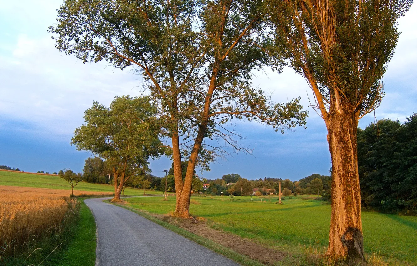 Фото обои дорога, поле, деревья, Чехия, деревня, обочина, Kačlehy