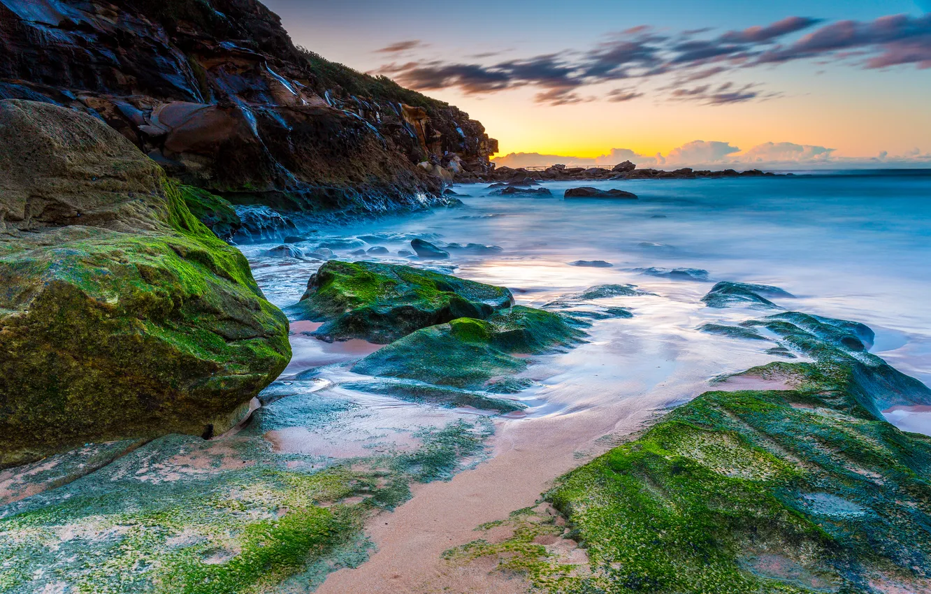 Фото обои пляж, водоросли, природа, океан, Australia, Curl Curl Beach