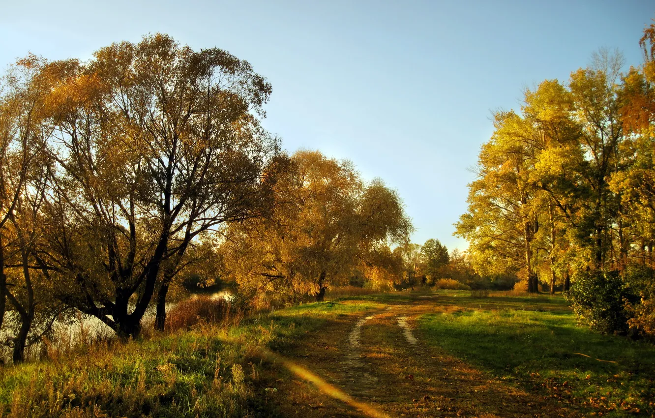 Фото обои дорога, осень, пейзаж