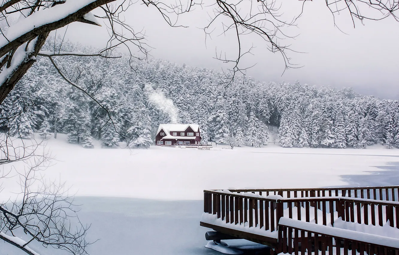 Фото обои зима, лес, снег, дом, Турция, Turkey, Гёльджюк, Gölcük
