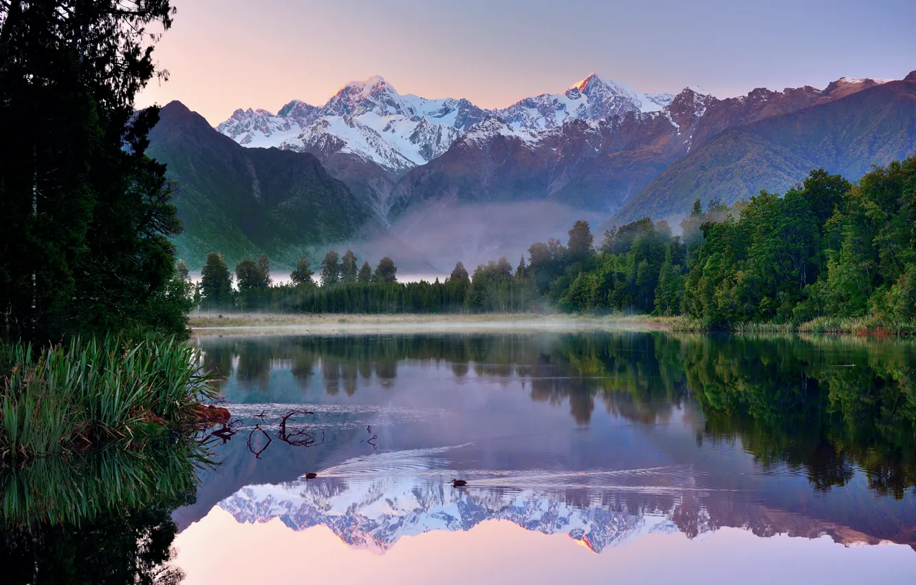 Фото обои лес, небо, отражения, горы, озеро, утки, Новая Зеландия