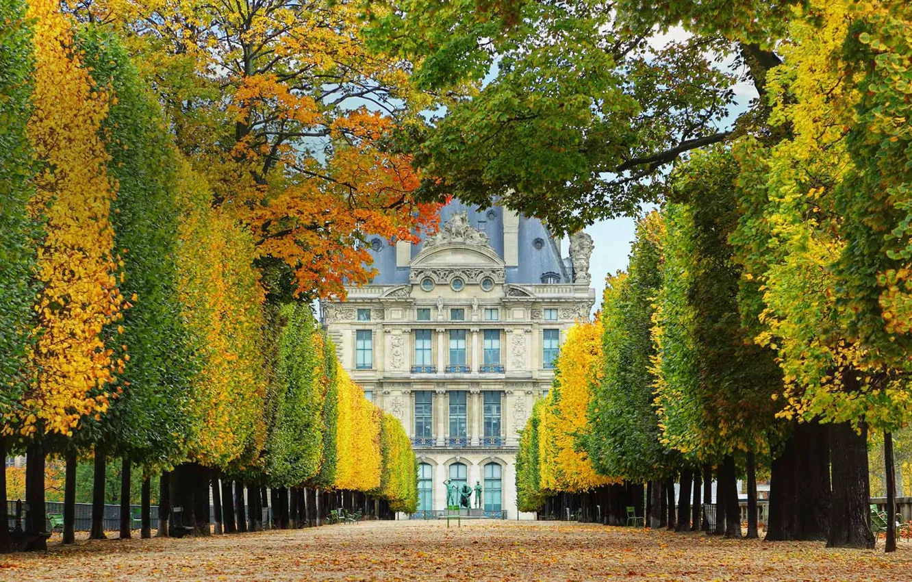 Фото обои осень, Франция, Париж, Сады Тюильри