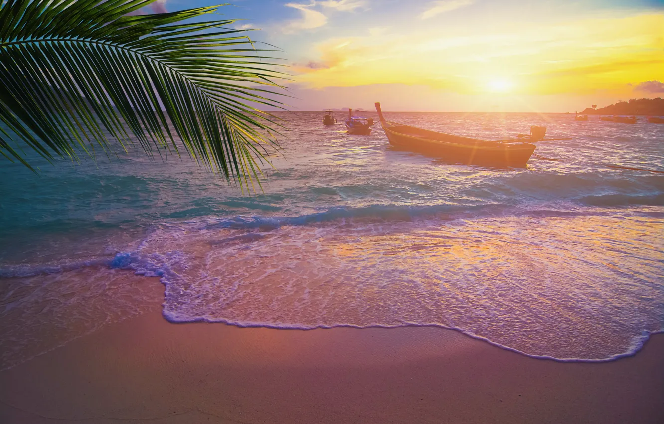 Фото обои песок, море, волны, пляж, лето, закат, пальмы, берег