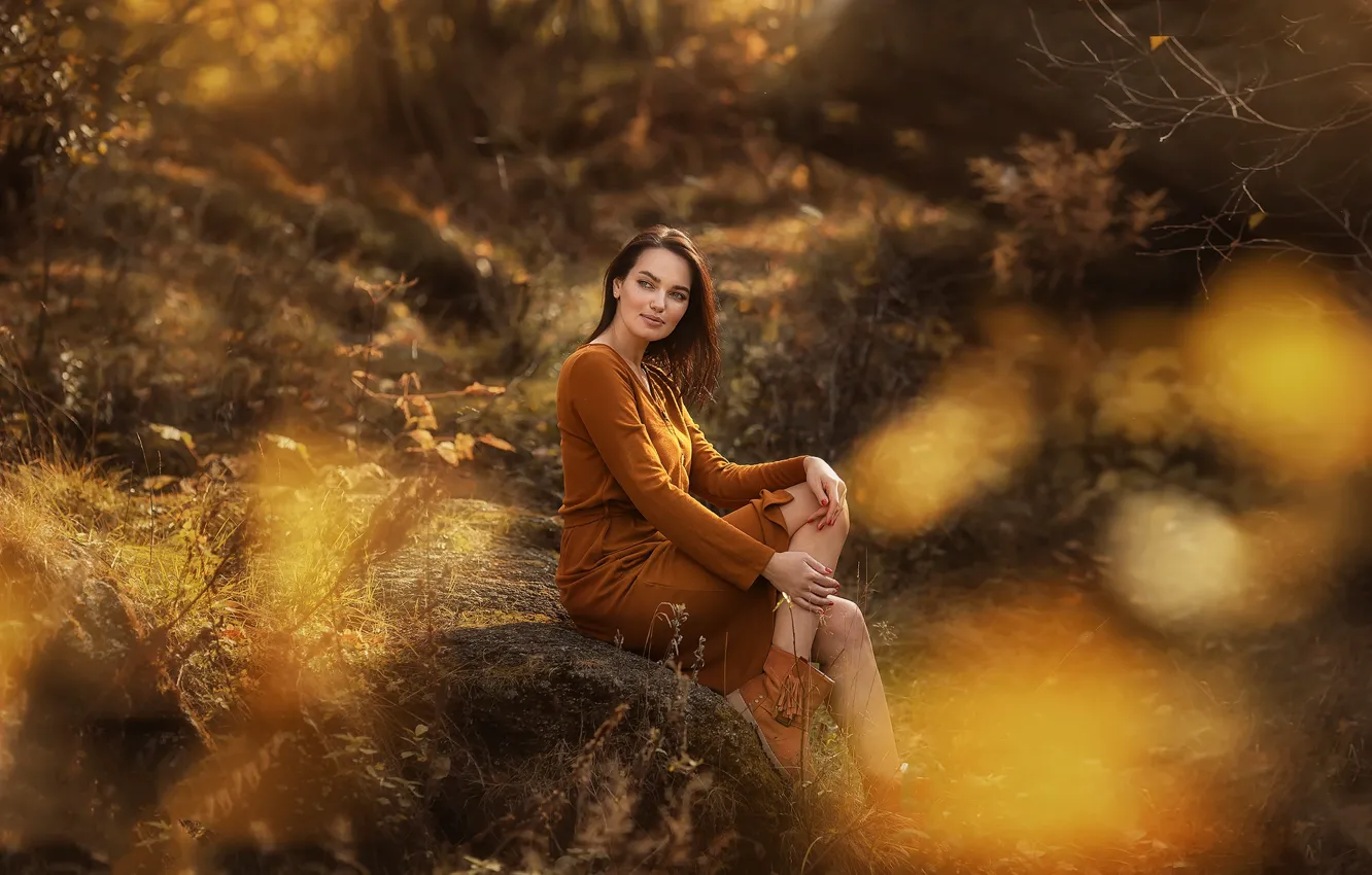 Фото обои осень, взгляд, девушка, природа, платье, шатенка, Анастасия Бармина, полусапоги