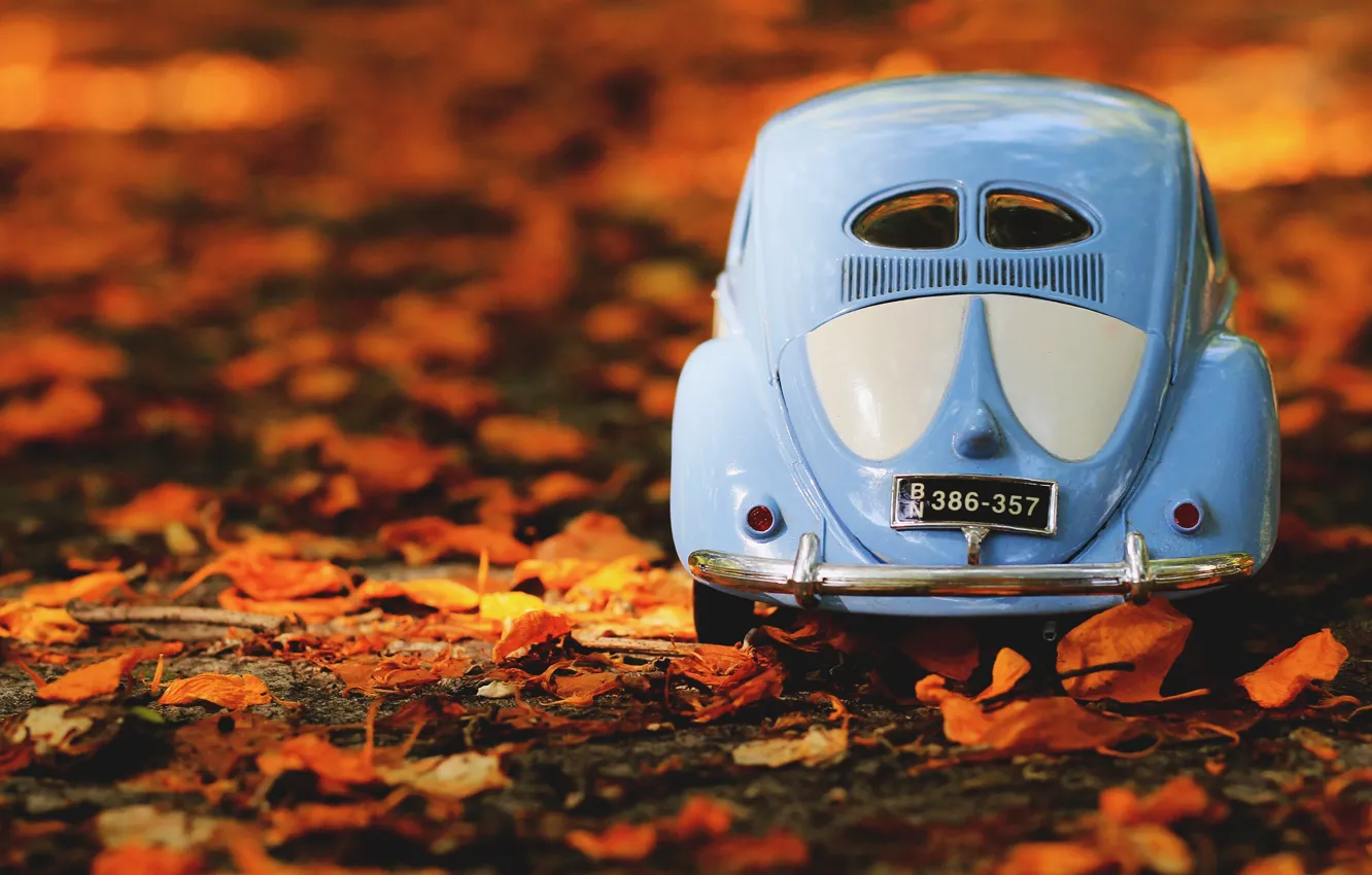 Фото обои машина, авто, осень, листья, природа, фон, листва, игрушка