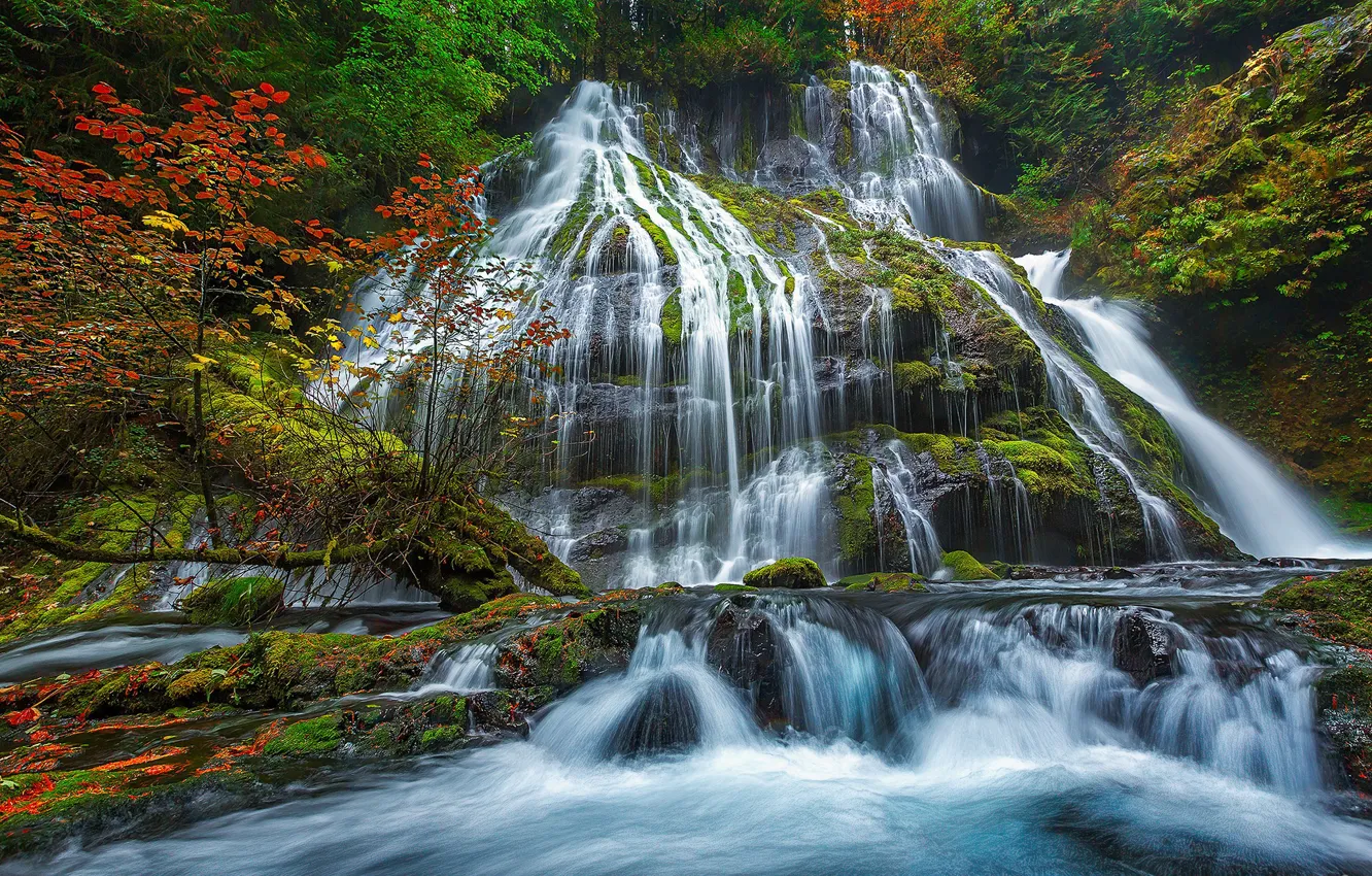 Фото обои осень, деревья, водопад, поток, США, штат Вашингтон, Скамейния