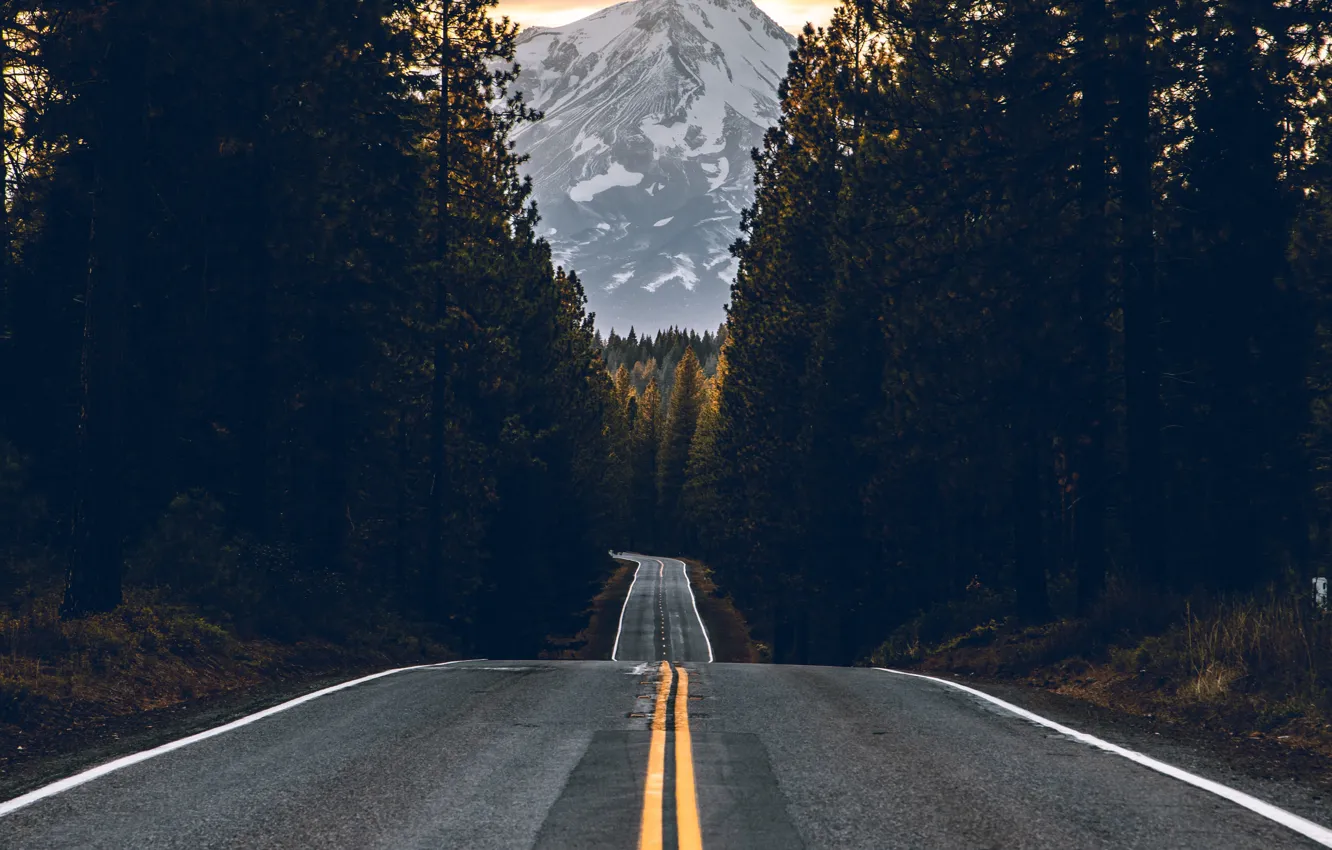 Фото обои forest, road, sky, trees, nature, yellow, sunset, glow