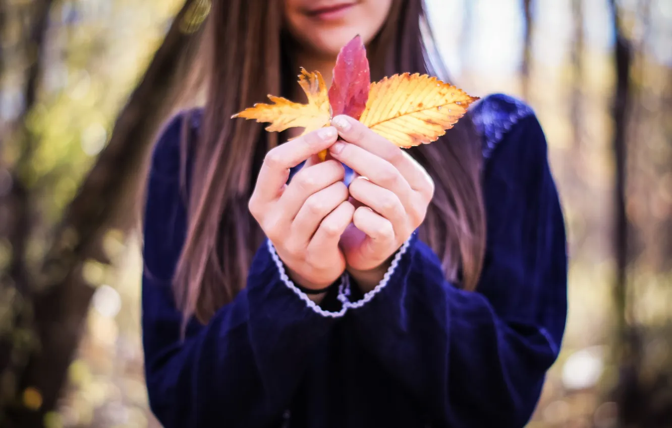 Фото обои листья, девушка, руки