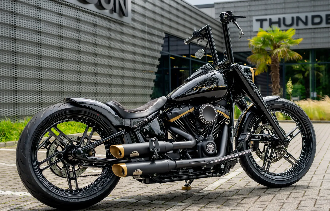 Фото обои Harley-Davidson, Tuning, Softail, Rear, Customized, Fat Boy, Thunderbike, Custombikes