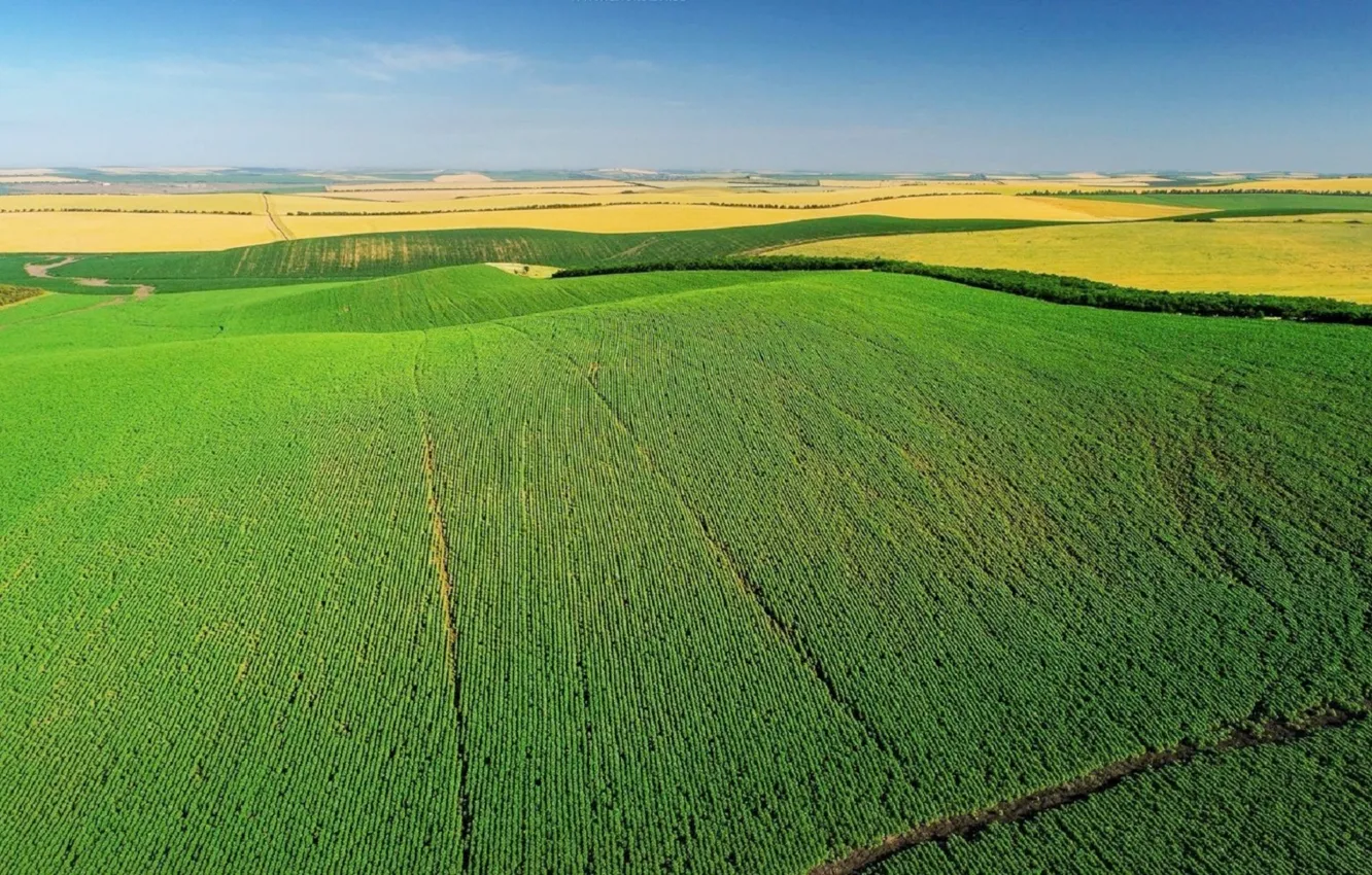 Фото обои поле, весна, field, spring, Молдова, Moldova