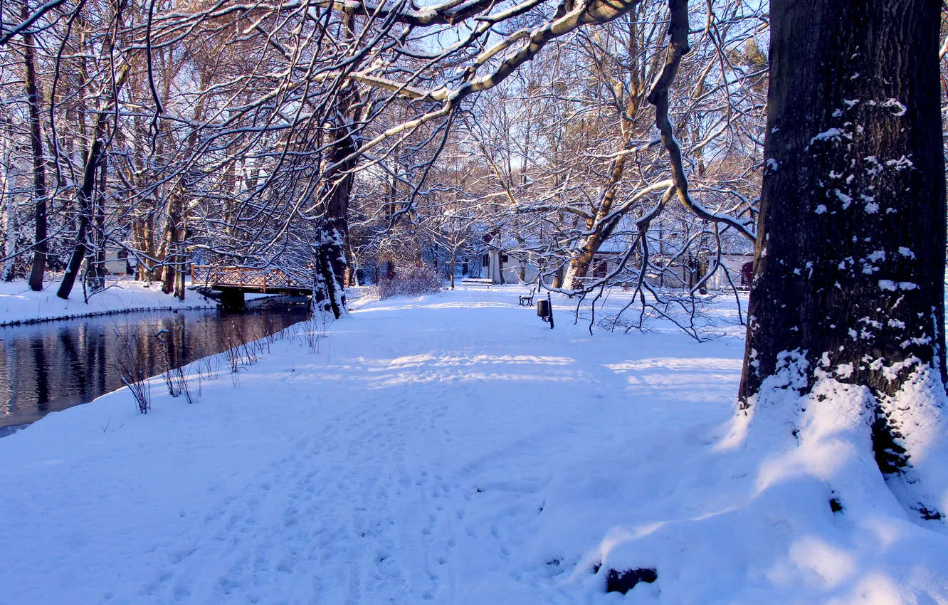 Фото обои park, winter, snow, alley