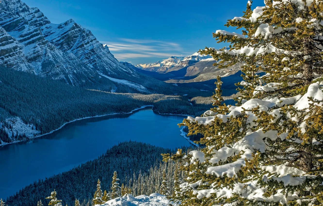 Фото обои лес, снег, горы, озеро, ель, Канада, Альберта, Banff National Park