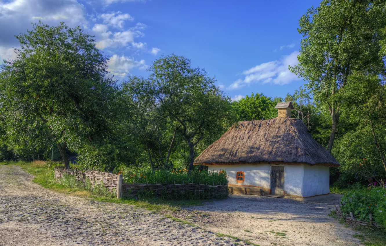 Фото обои деревья, Лето, дорожка, домик, summer, house, trees, огород