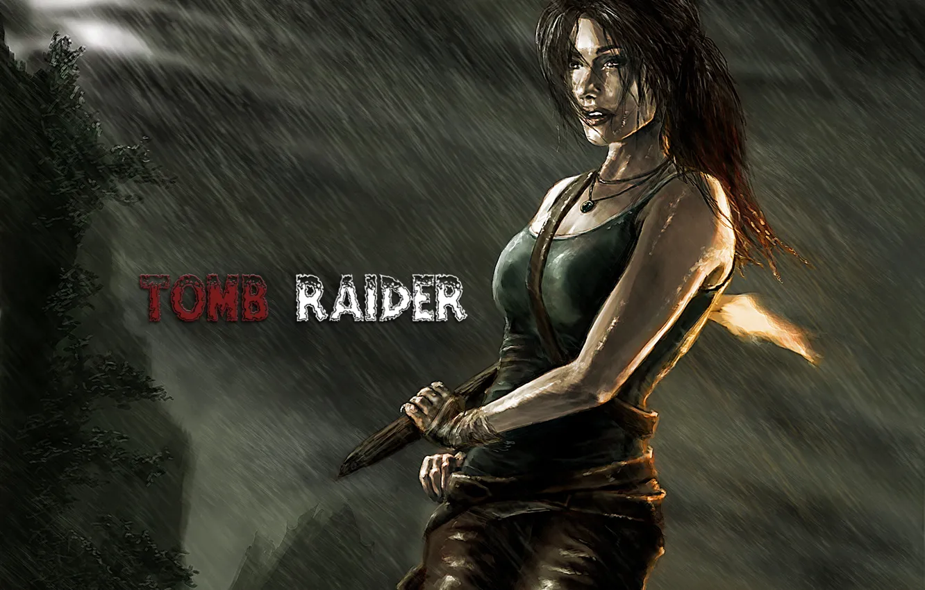 Фото обои Tomb Raider, Лара Крофт, Art, Lara Croft, Расхитительница гробниц