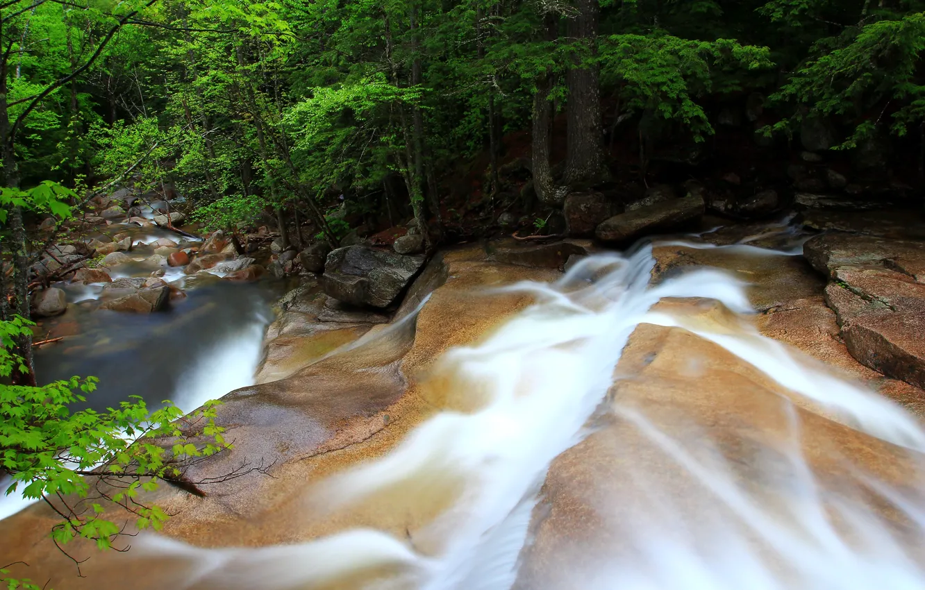 Фото обои лес, река, камни, поток, Водопад, forest, waterfall