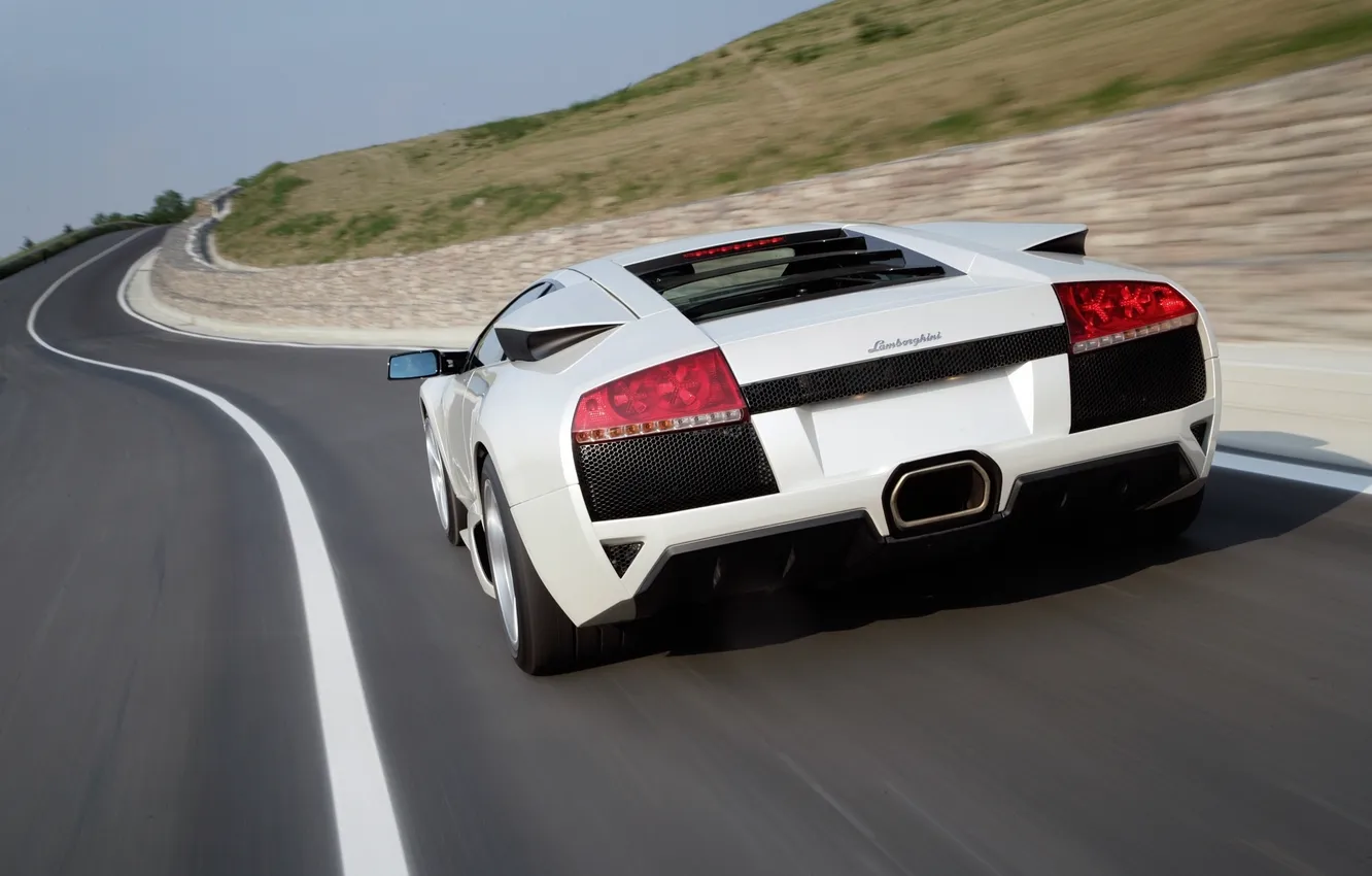 Фото обои дорога, белый, скорость, Lamborghini, суперкар, вид сзади, Murcielago, White