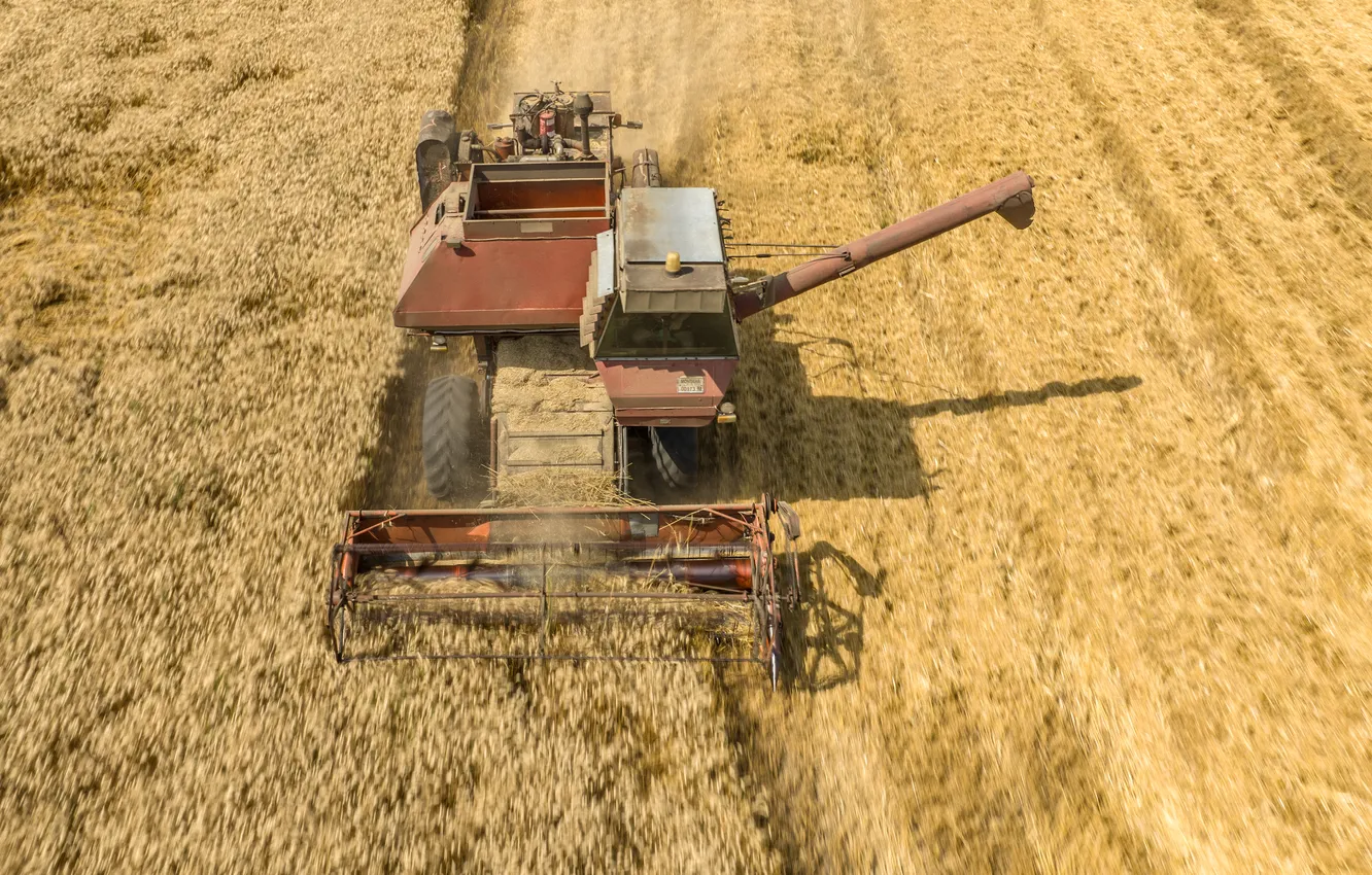 Фото обои field, machine, wheat, harvester