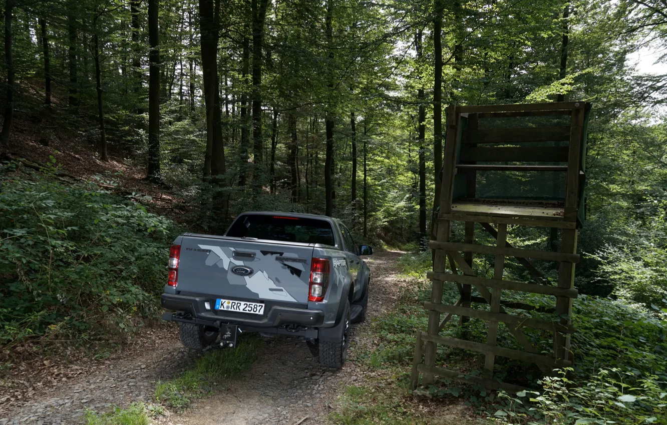 Фото обои серый, Ford, Raptor, пикап, Ranger, в лесу, 2019