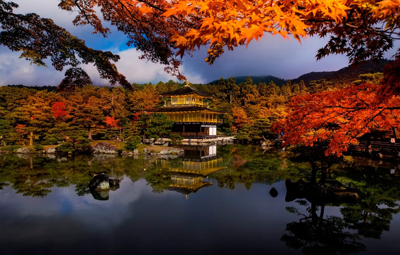 Фото обои осень, деревья, ветки, озеро, дом, Япония