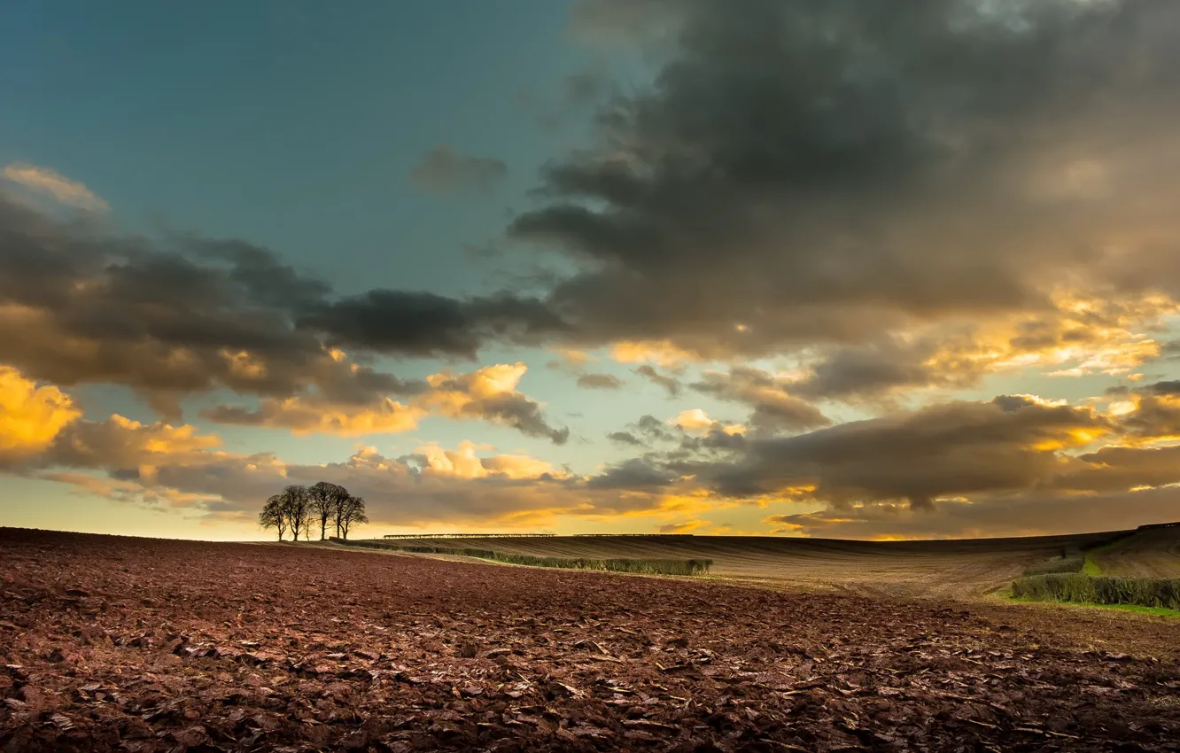 Фото обои поле, небо, природа, пашня