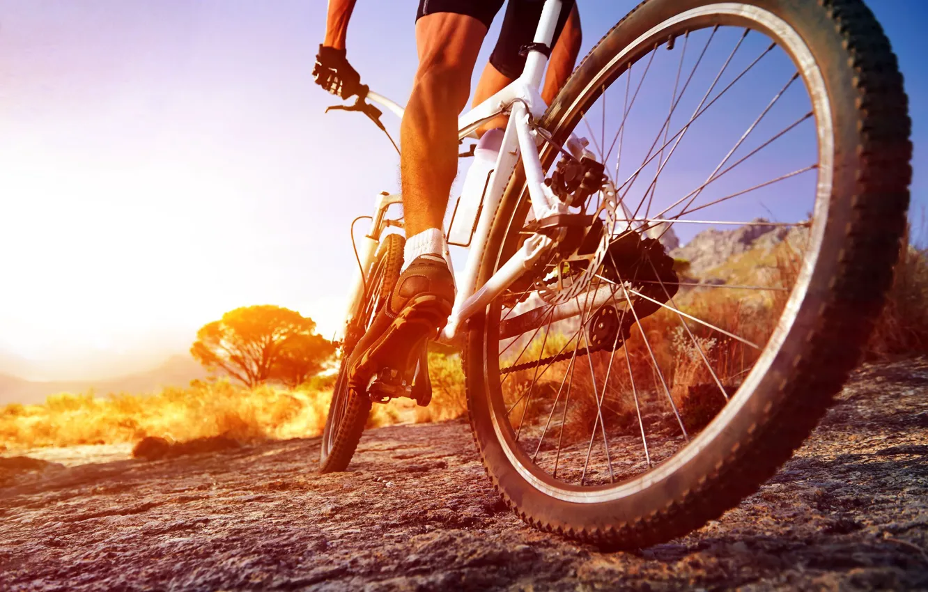 Фото обои велосипед, спорт, колесо, спортсмен, мужчина, велосипедист