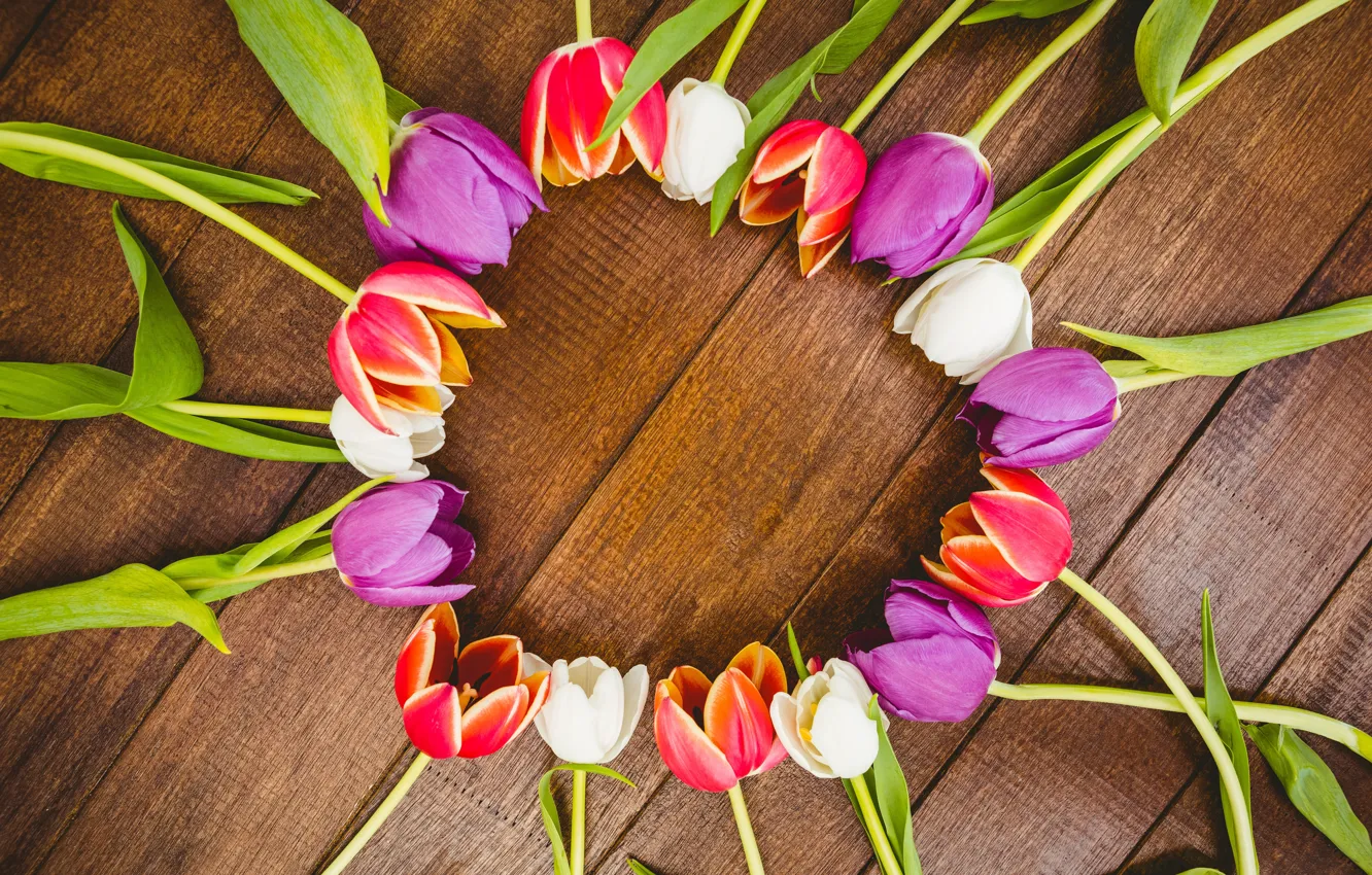 Фото обои цветы, colorful, тюльпаны, red, white, fresh, wood, flowers