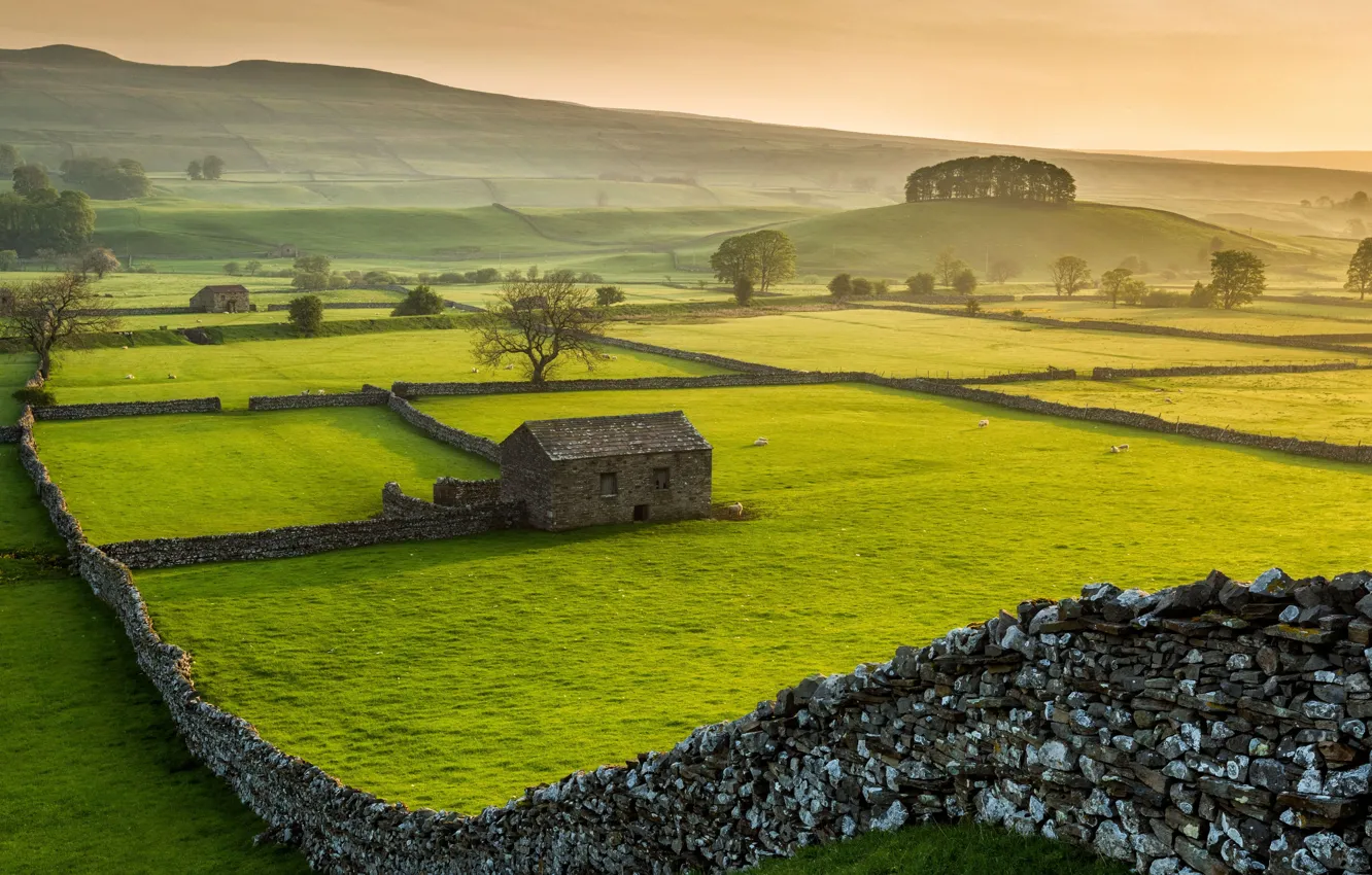 Фото обои Йоркшир, Yorkshire, Wensleydale, Национальный парк Дейлс, Уэнслидейл, Dales National Park