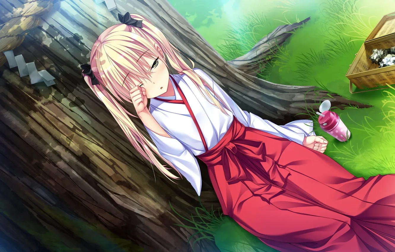 Фото обои трава, взгляд, девушка, дерево, еда, юката, art, shii anekawa