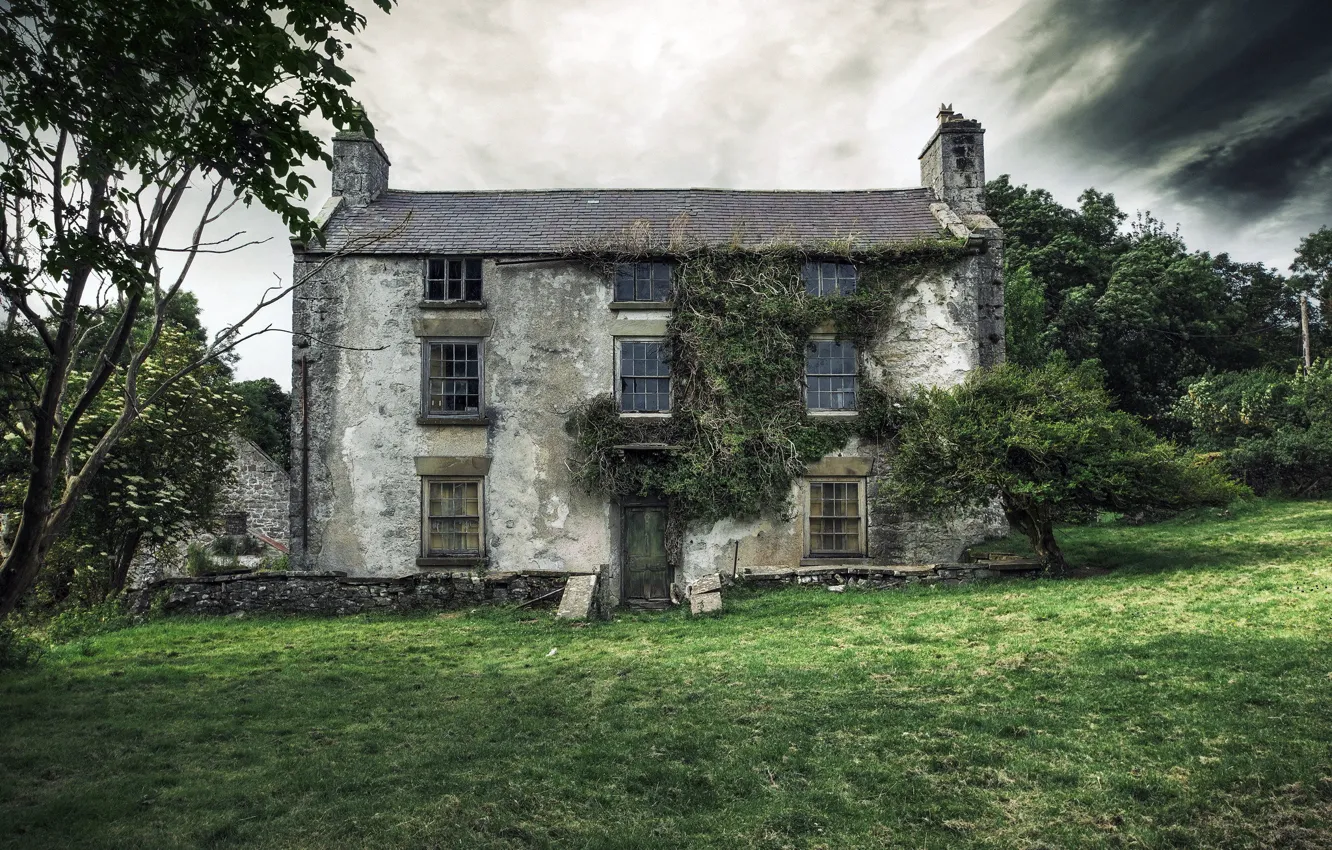 Фото обои поле, дома, архитектура