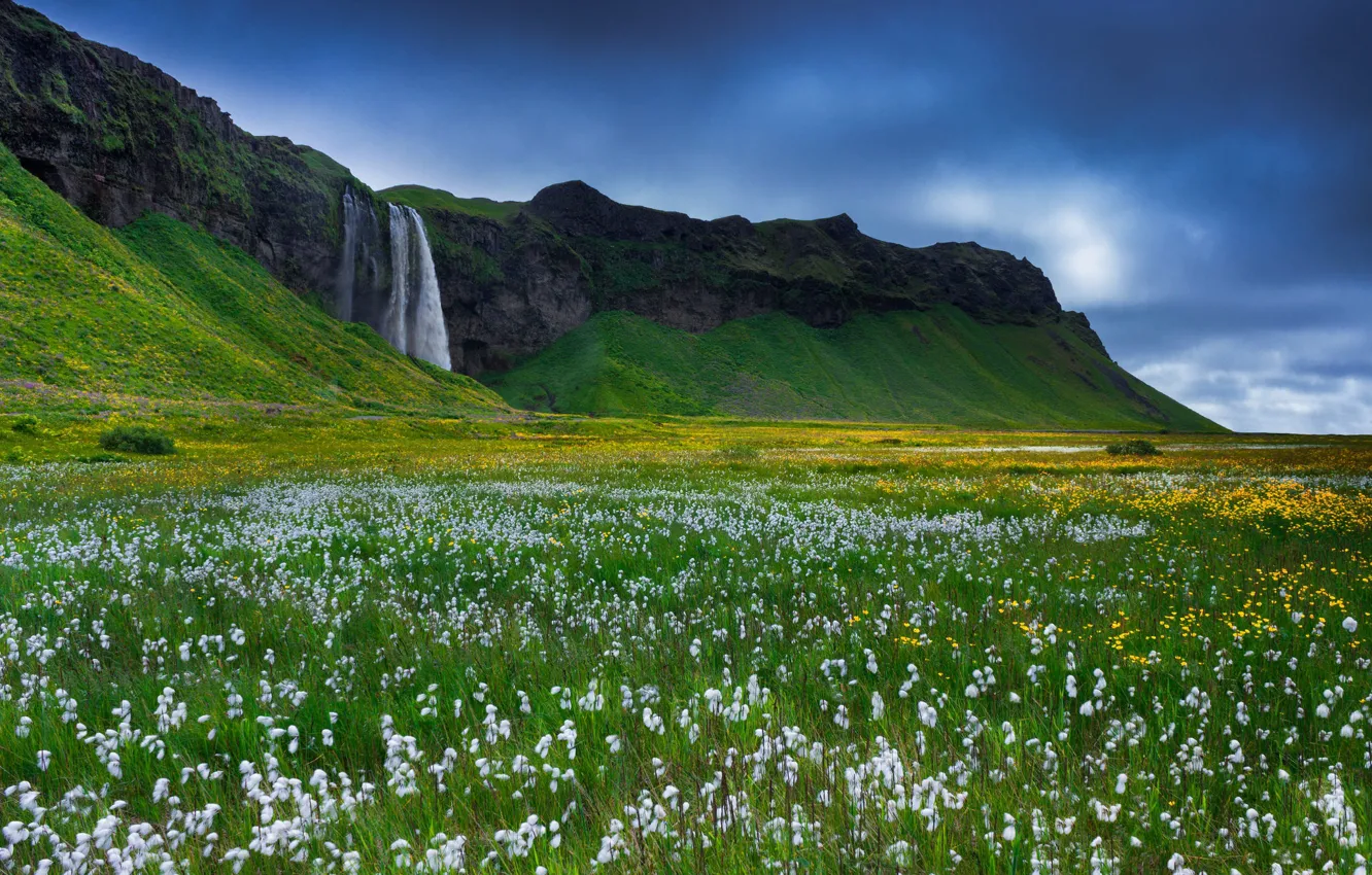 Фото обои трава, цветы, скалы, водопад, Исландия