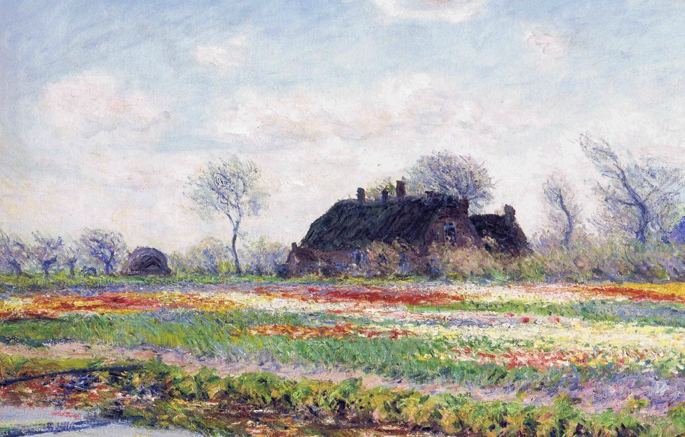 Фото обои пейзаж, цветы, картина, Клод Моне, Поля тюльпанов в Сассенхейме близ Лейдена