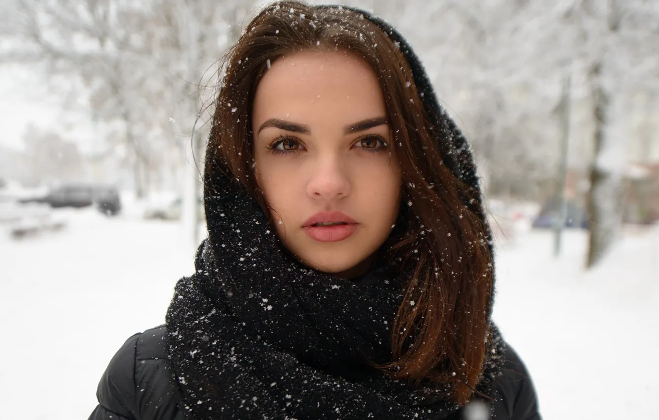 Фото обои зима, взгляд, девушка, лицо, милая, модель, портрет, шарф
