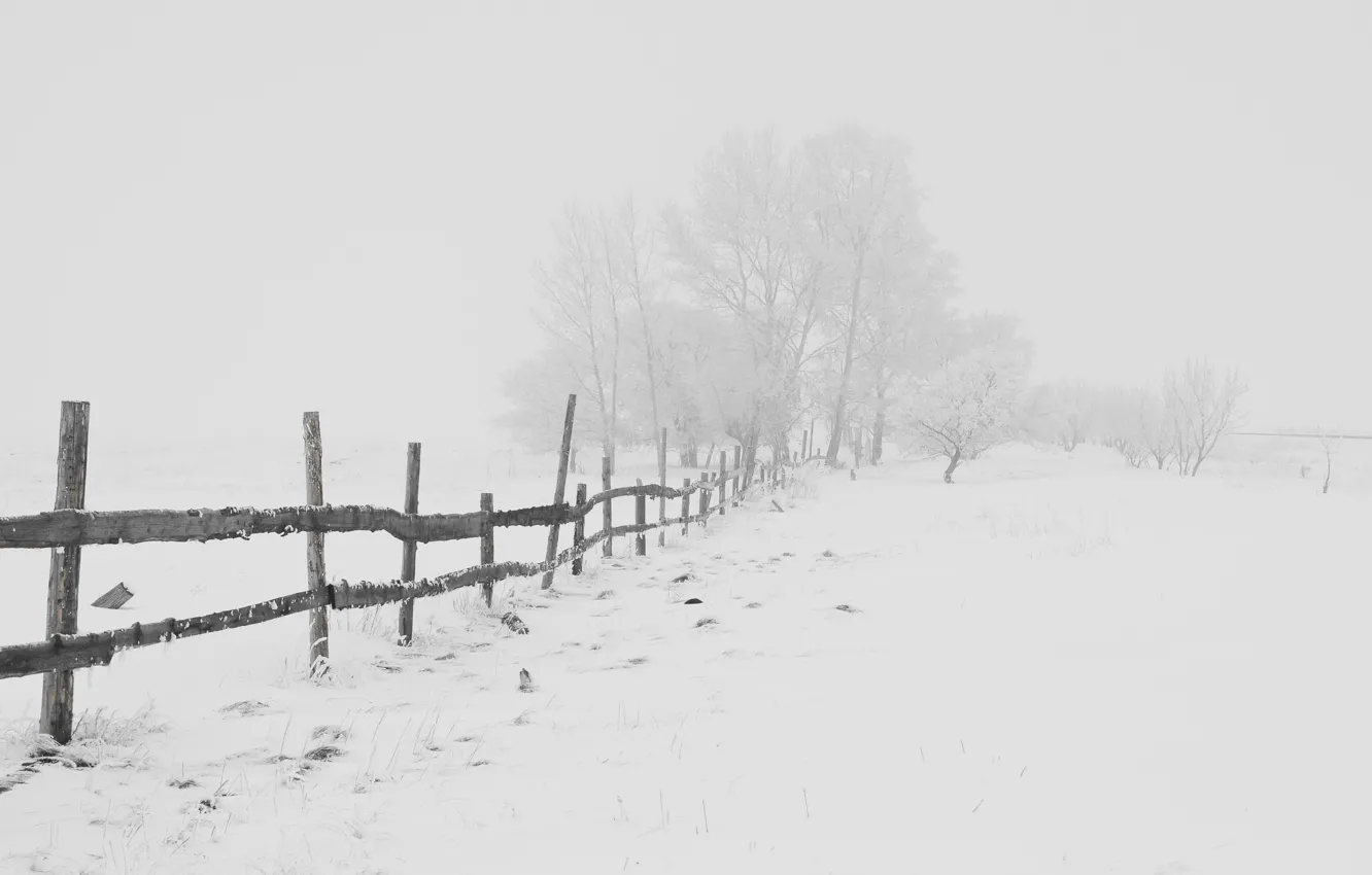 Фото обои зима, дорога, снег, мороз, Nature, метель, road, blizzard