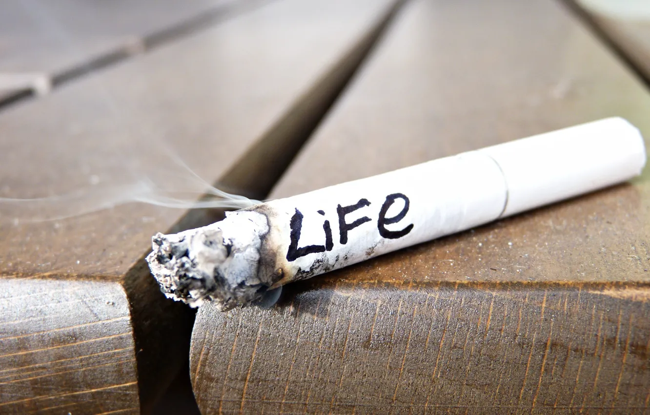 Фото обои дым, сигарета, Жизнь, Life, smoke, окурок, слово