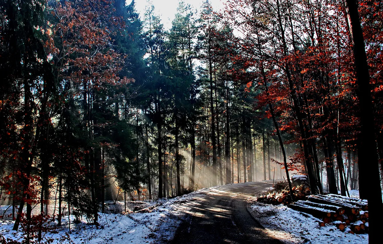 Фото обои зима, дорога, лес, лучи, свет, природа