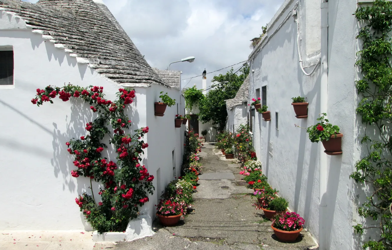 Фото обои цветы, дома, Италия, переулок, горшки, Alberobello