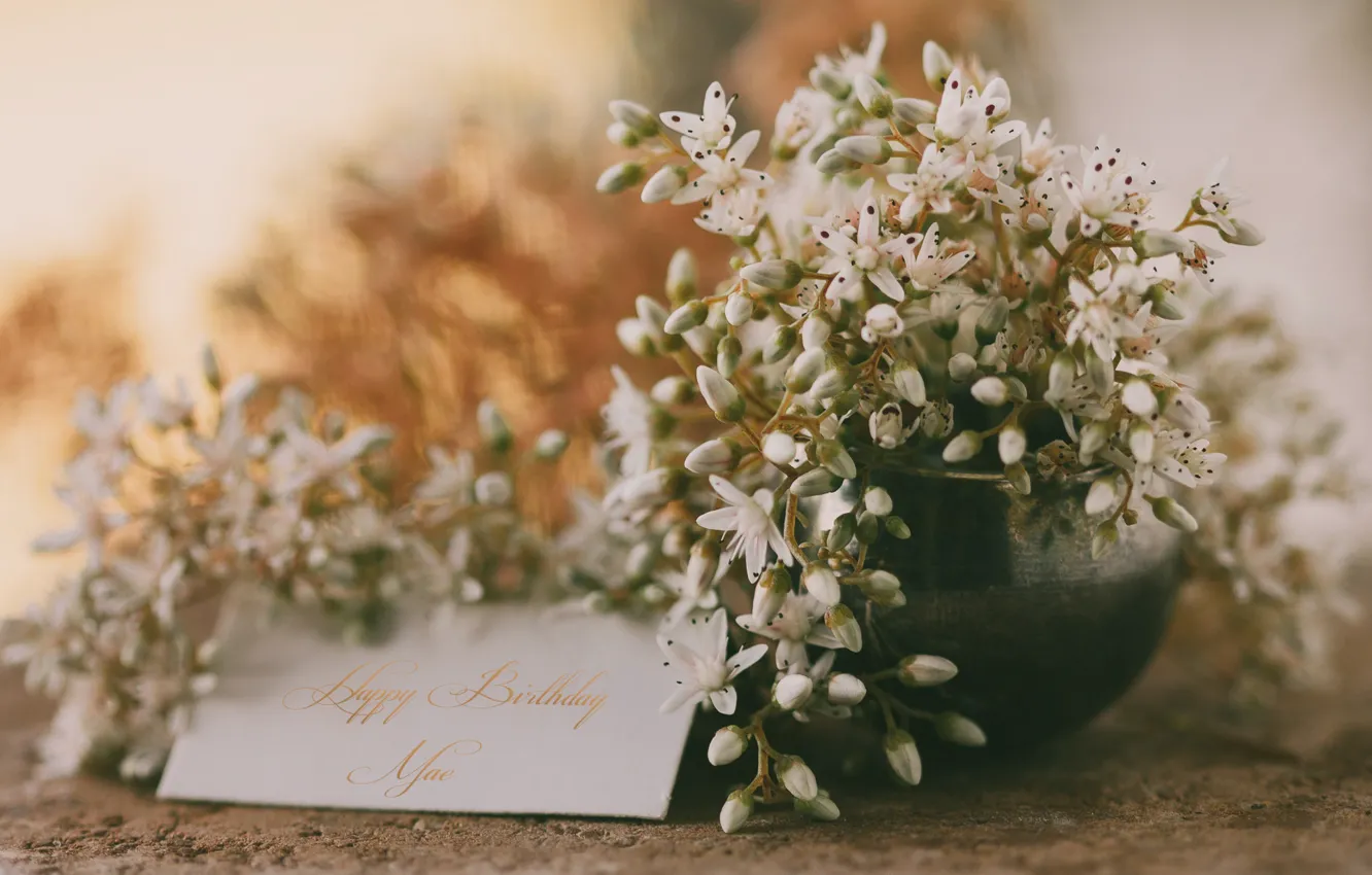 Фото обои цветы, поздравления, открытка, happy birthday me, С днем ​​рождения