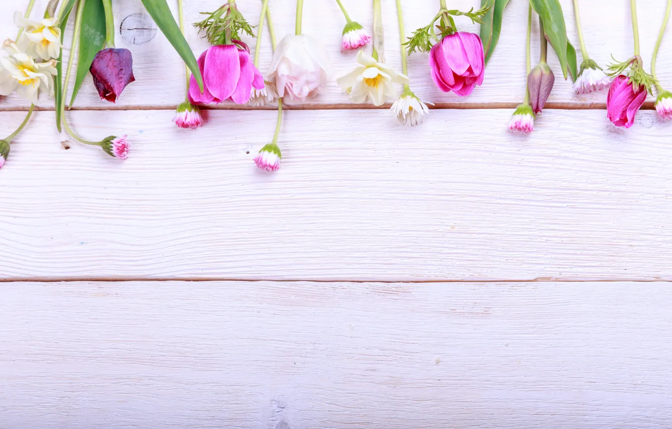 Фото обои цветы, букет, весна, colorful, бутоны, wood, pink, flowers