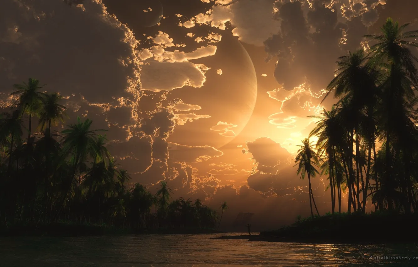 Фото обои Солнце, Облака, Океан, Ночь, Планета, Острова, Рассвет, Пальмы