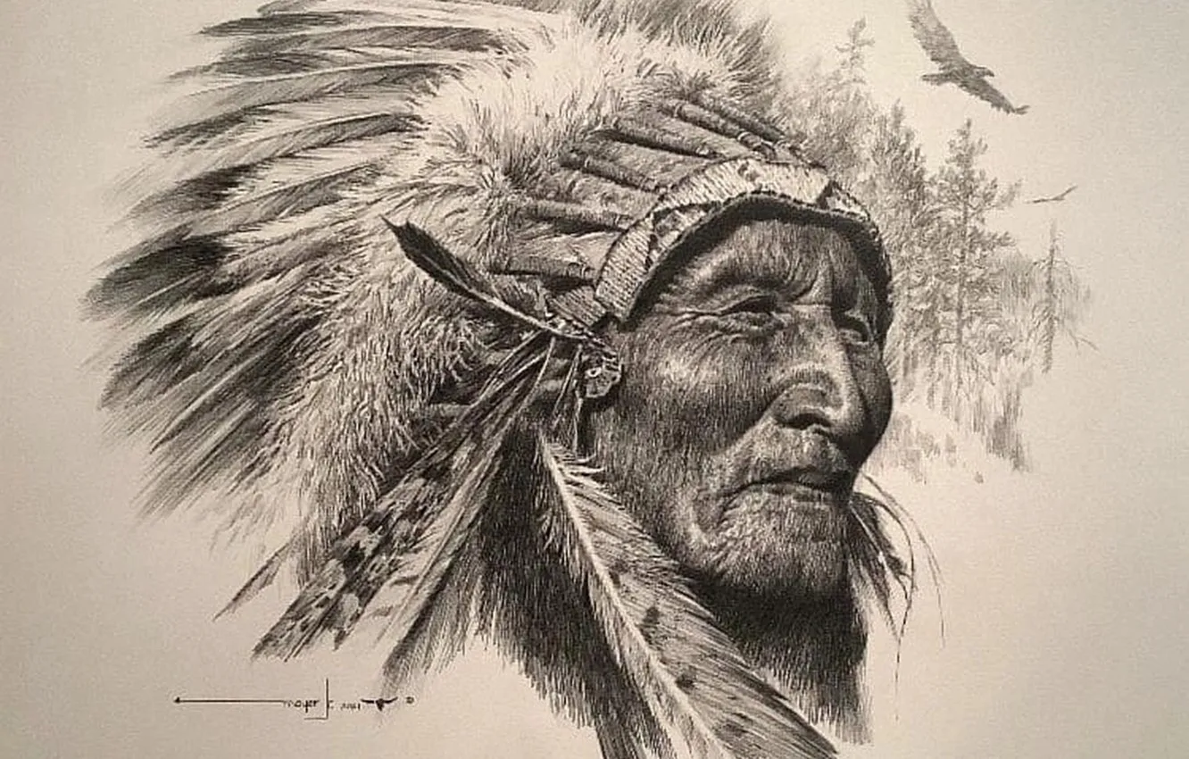 Фото обои the chief, first people, native american art