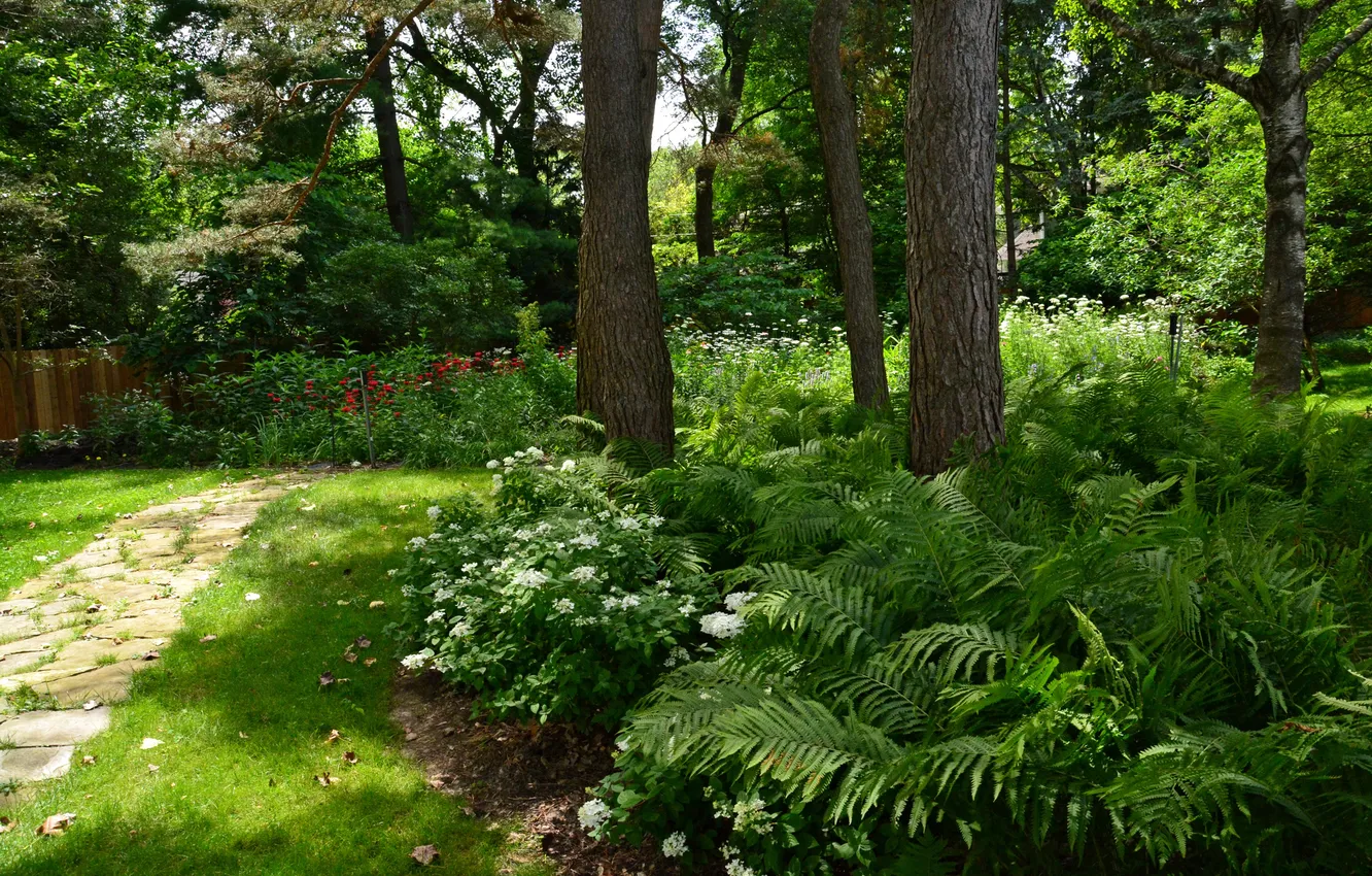 Фото обои зелень, трава, деревья, цветы, парк, забор, дорожка, США