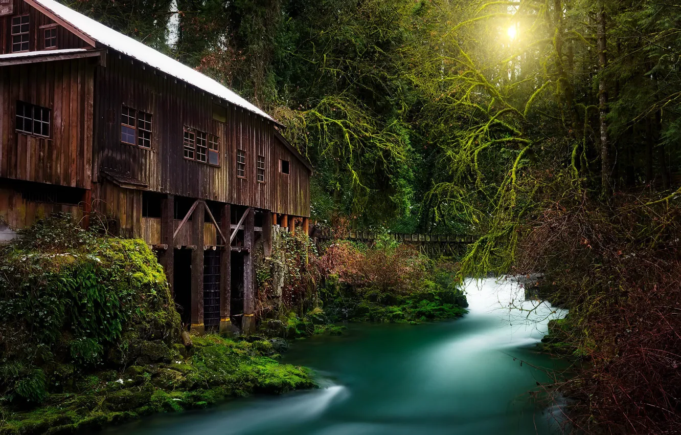 Фото обои лес, река, водяная мельница, Washington State, Woodland, Вудленд, Cedar Creek Grist Mill, Штат Вашингтон