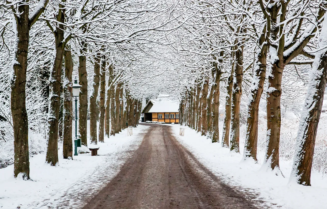 Фото обои house, road, trees, winter, snow