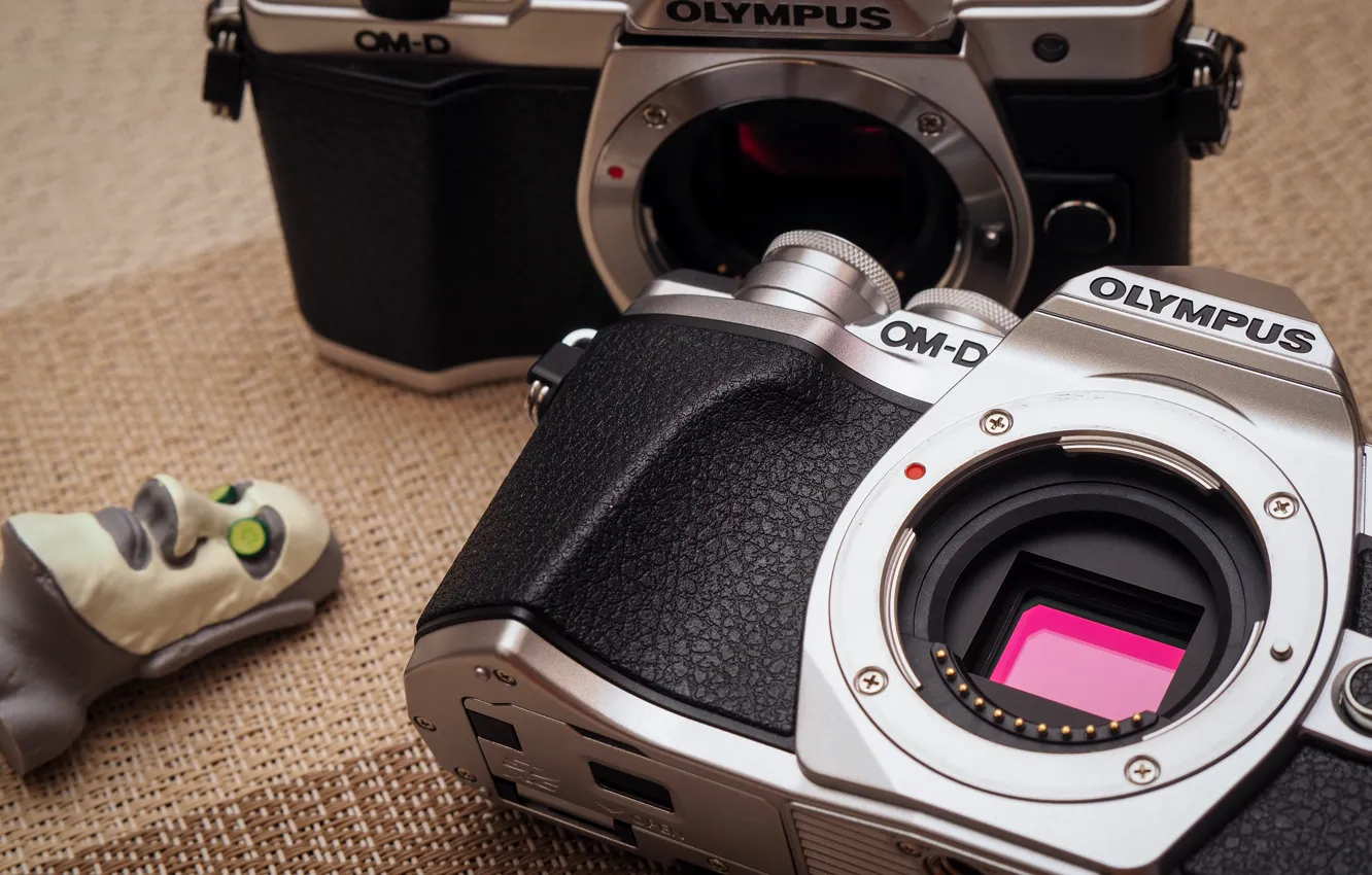 Фото обои макро, пара, фотоаппараты, Olympus OM-D