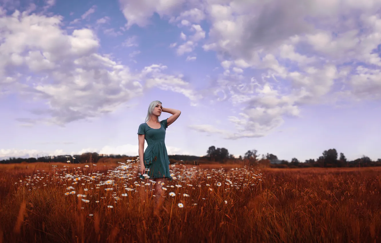 Фото обои небо, девушка, облака, красота, платье, ромашковое поле