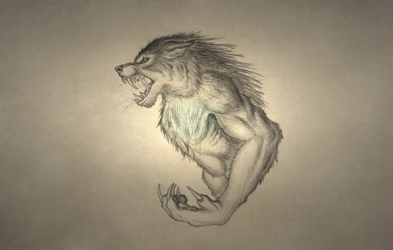 Фото обои волк, оборотень, рычит, wolf, werewolf