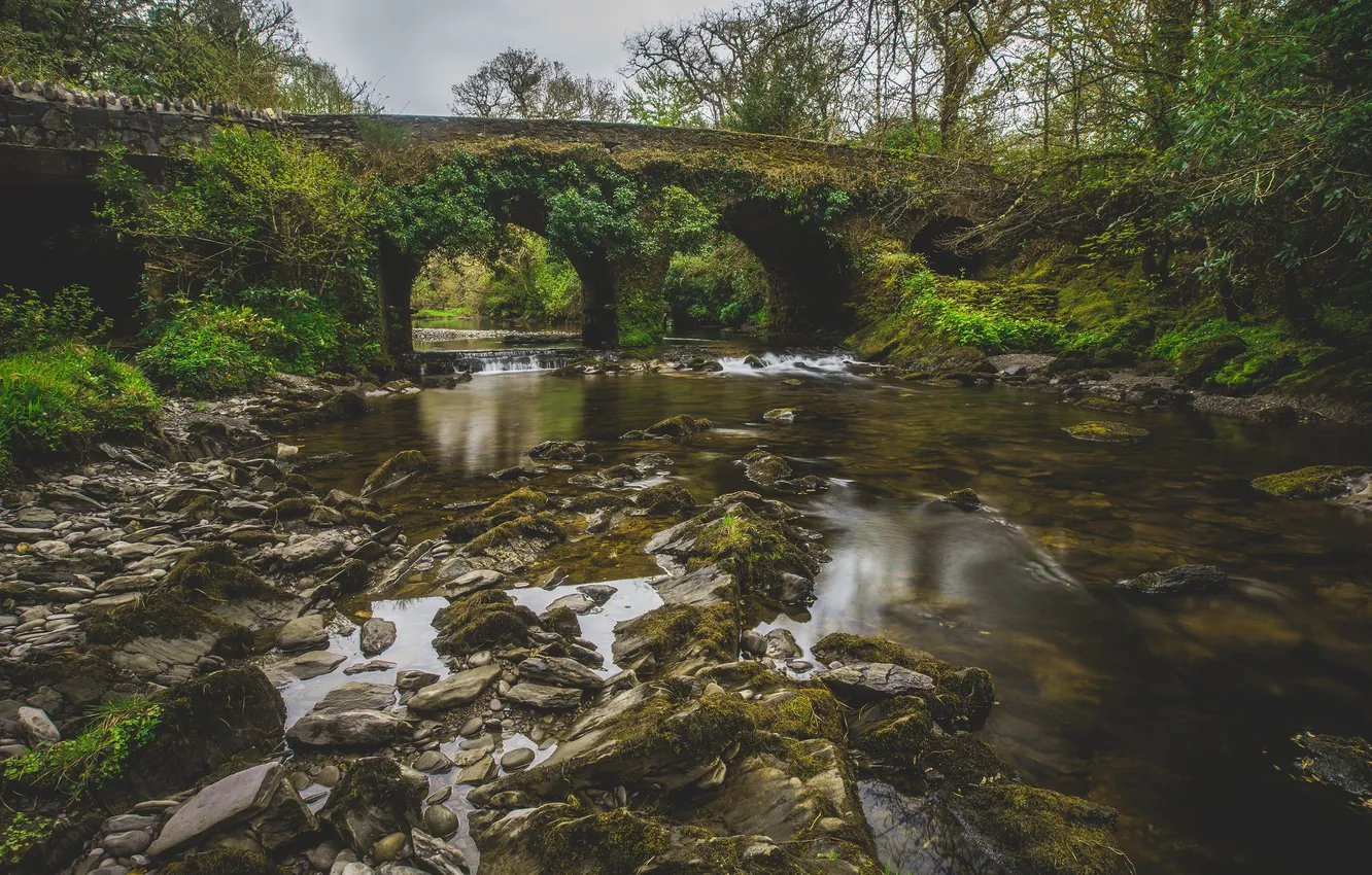 Фото обои мост, отражение, река, камни, зеркало, дождливое